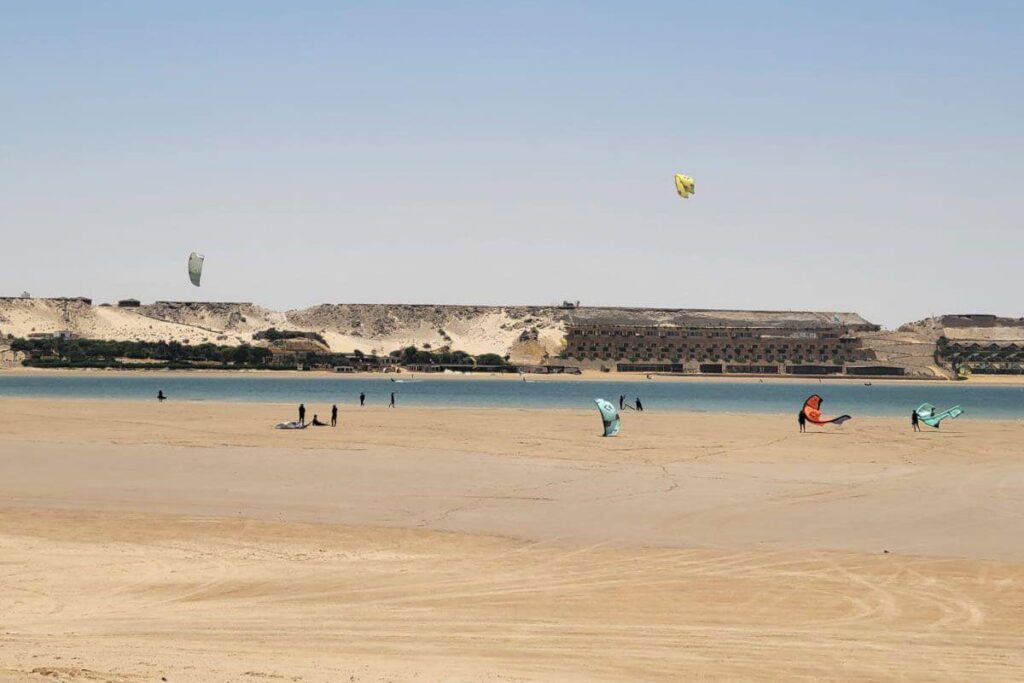‘The Odyssey’ Wades Into a 50-Year Land Feud in Western Sahara