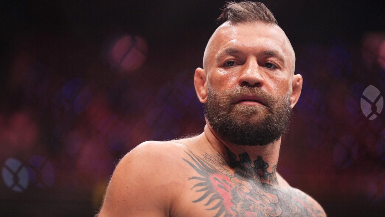 Controversial Celebrities Show Up to Watch Conor McGregor