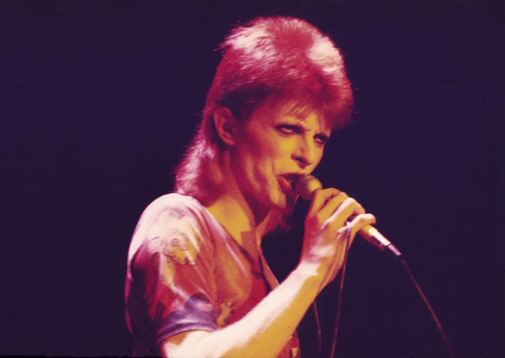 David Bowie File Photos