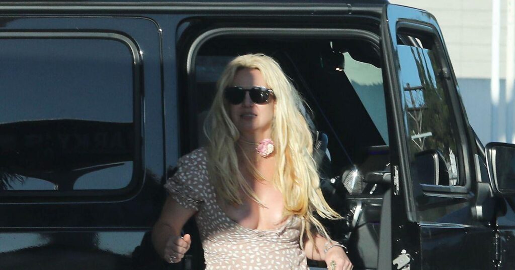 Britney Spears sparks fresh fears with startling freeway stunt after DUI arrest