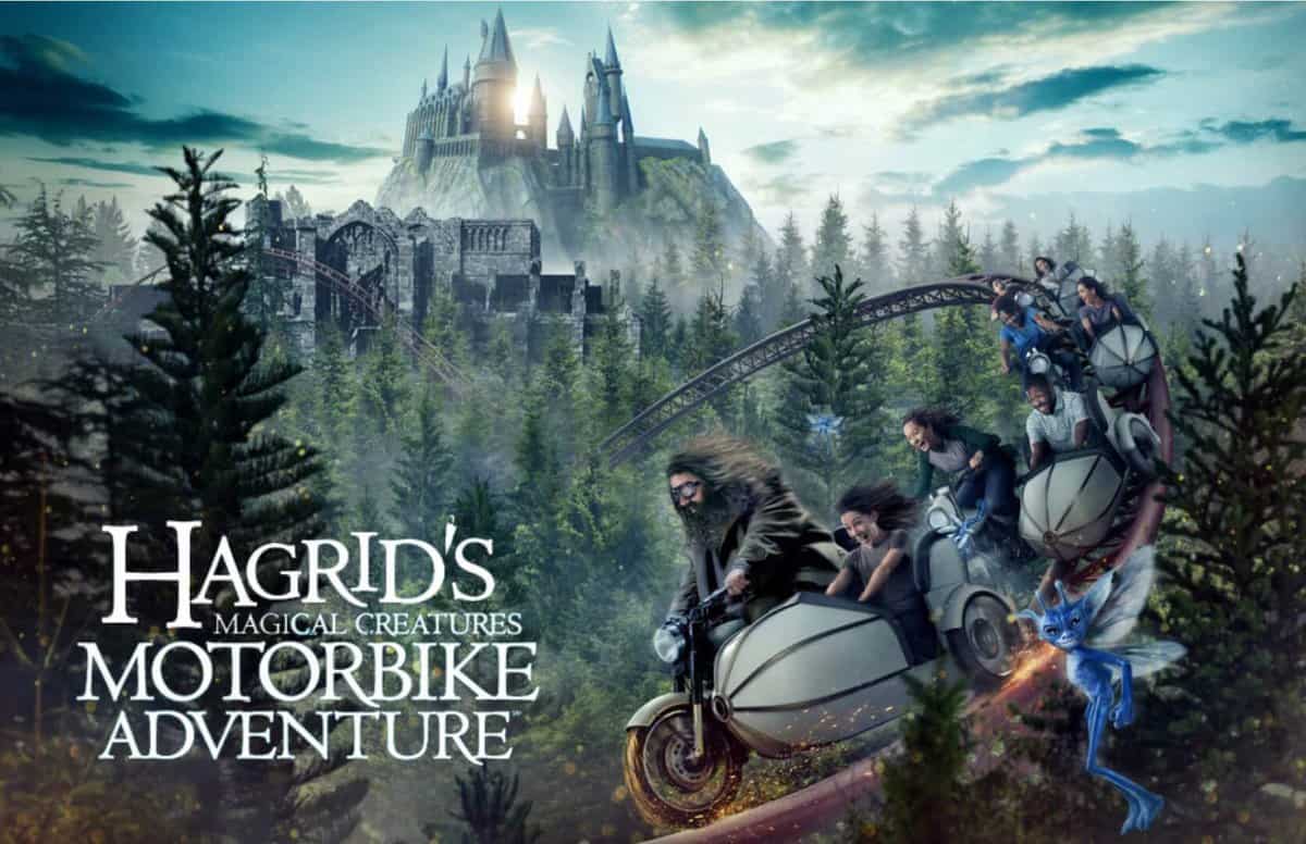 Hagrid's Magical Creatures Motorbike Adventure Art