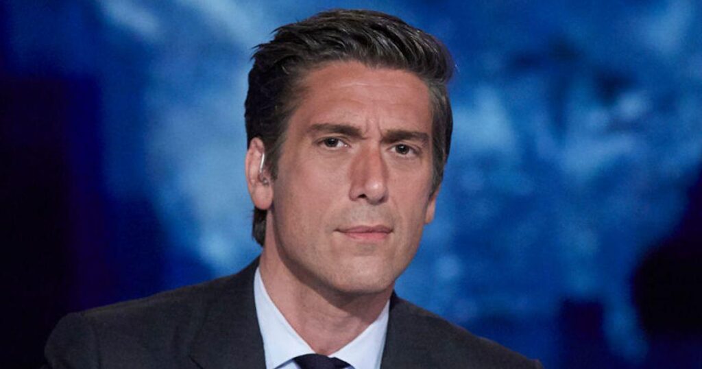 David Muir viewers mock Trump’s claims he understands sports ‘really well’ after World Cup scandal | Donald Trump was ridiculed by David Muir viewers after the president claimed that he understands sports ‘really well’ while admitting he did not know what a red card is David Muir viewers mock Trump's claims he understands sports 'really well' after World Cup scandal | Donald Trump was ridiculed by David Muir viewers after the president claimed that he understands sports 'really well' while admitting he did not know what a red card is