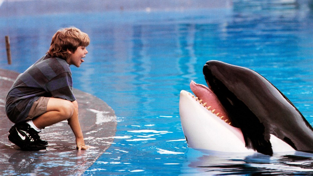 ‘Free Willy’ Reboot in the Works at Warner Bros. 'Free Willy' Reboot in the Works at Warner Bros.