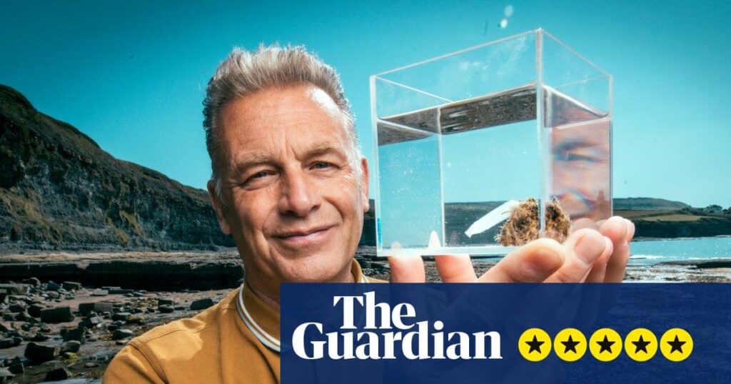 Evolution review – with this TV miracle, David Attenborough’s successor is well and truly crowned | Television