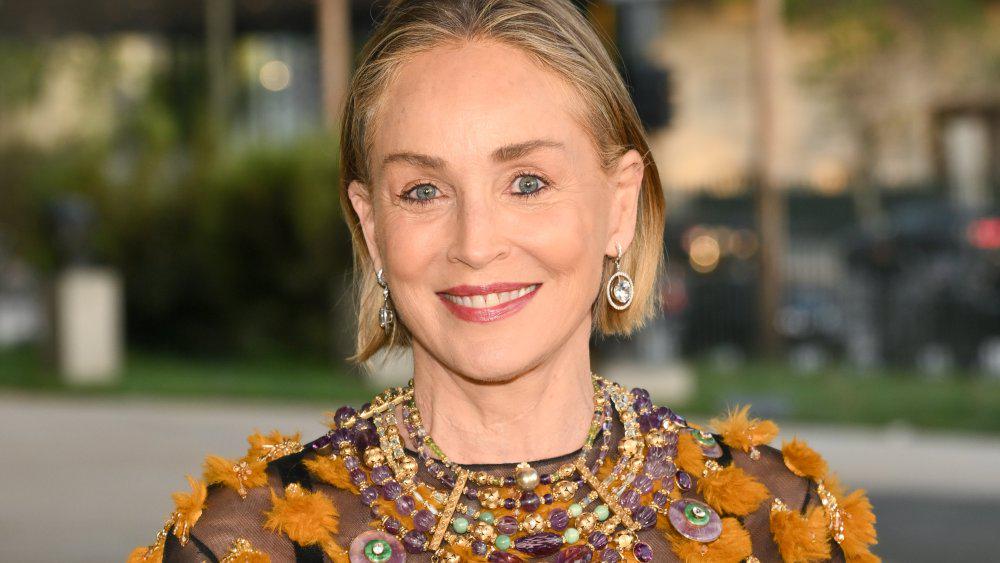 Sharon Stone on Quitting Weed and Stopping a Stroke Medication Despite Doctors’ Orders: ‘It Was Like Going Off of F—ing Heroin’
