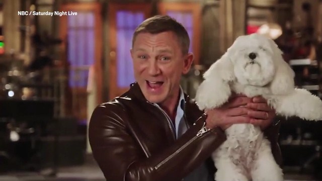 Daniel Craig smiling while holding a dog