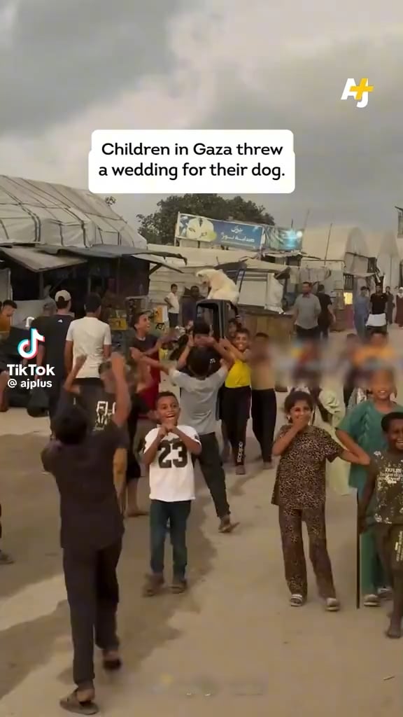 Children is Gaza finding a moment of joy while throwing a wedding for their dog.