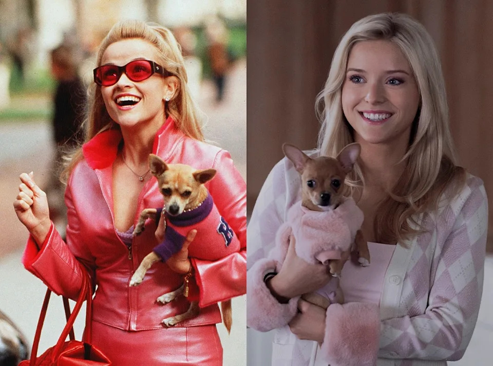 Legally Blonde, Reese Witherspoon, Elle, Lexi Minetree