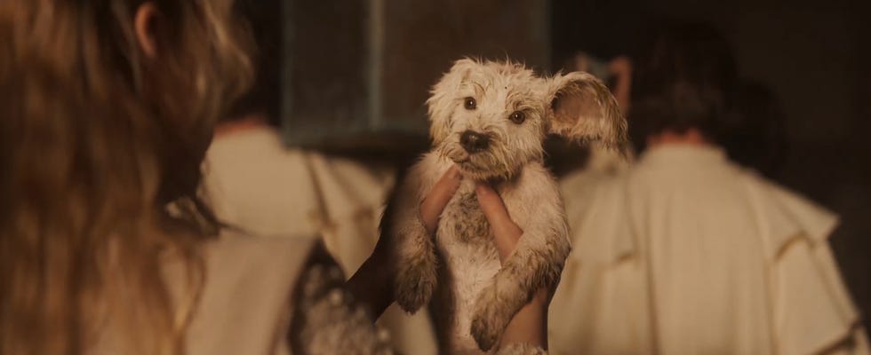 baby krypto, supergirl, superbowl trailer