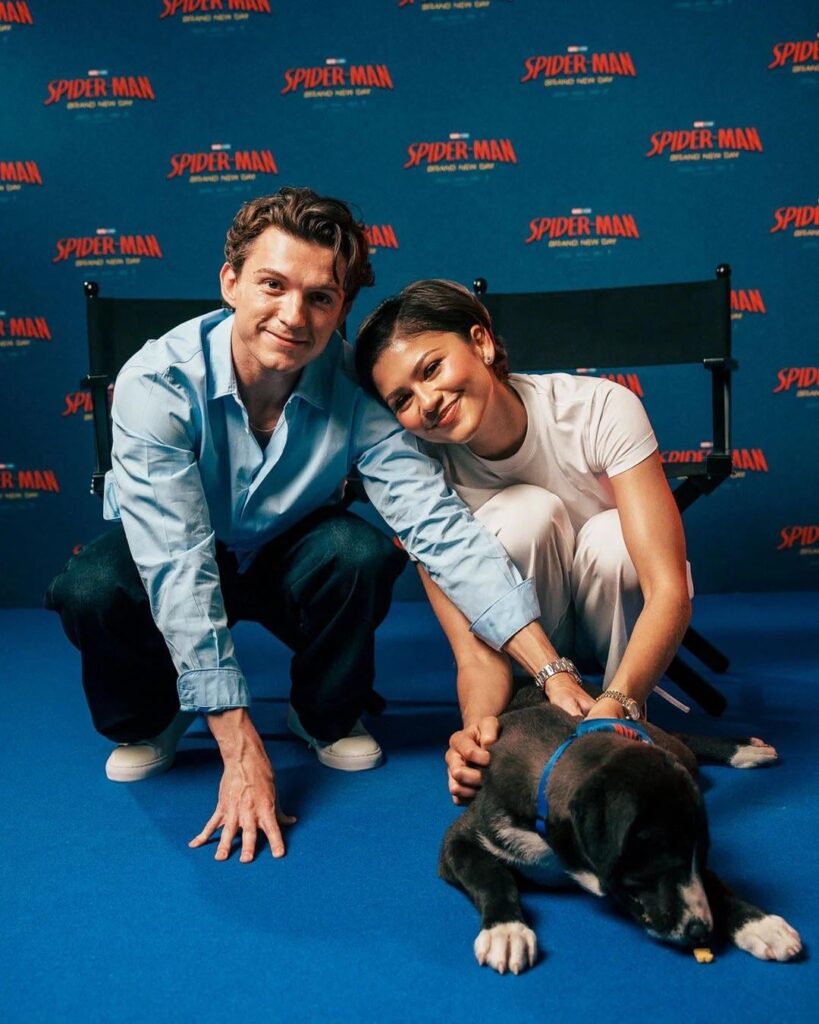 Tom Holland and Zendaya (+dogs) during ‘Spider-Man: Brand New Day’ press