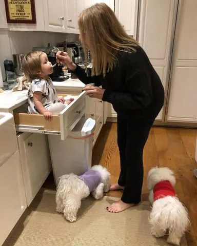 Credit: barbrastreisand/Instagram