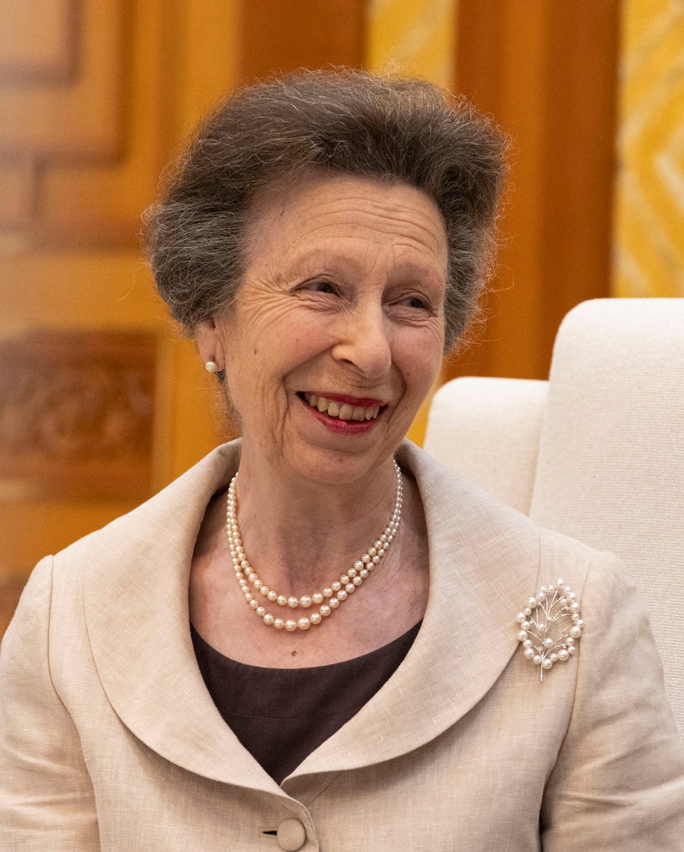britain's princess anne, the princess royal (l), talks with south korean president lee jae myung (not pictured) during their meeting at the presidential blue house in seoul on july 14, 2026. (photo by heon kyun jeon / pool / afp)