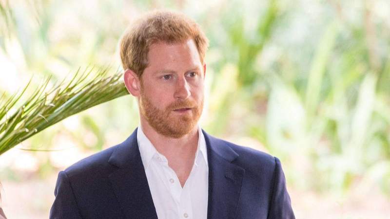 Prince Harry shared details about his family's favorite television show.MEGA