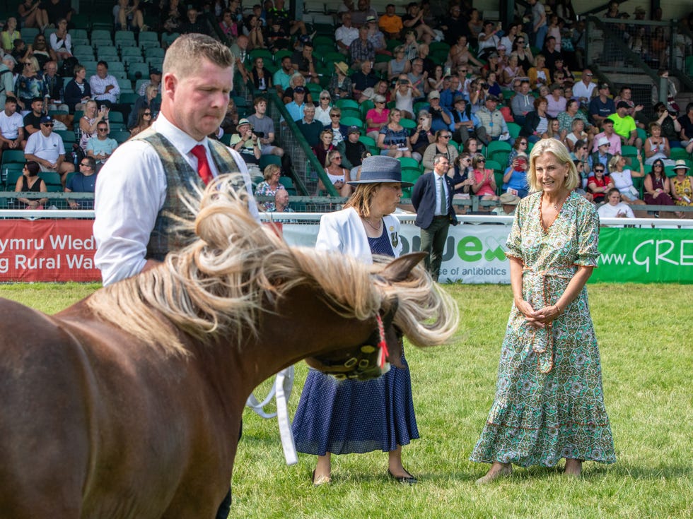 sophie, duchess of edinburgh, visits the royal welsh show at the royal welsh showground in llanelwedd, near builth wells. the duchess, patron of the association of show and agricultural organisations (asao), meets exhibitors in the horticulture village and horticulture marquee, toured the showground, met exhibitors, young farmers and volunteers and learned about welsh agriculture and rural communities. llanelwedd, united kingdom. 21 july, 2026. joann randles/hive insider