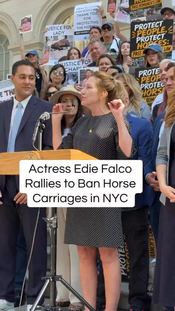 Edie Falco, politicians and animal rights activists rally to ban horse carriage rides in NYC's Central Park.