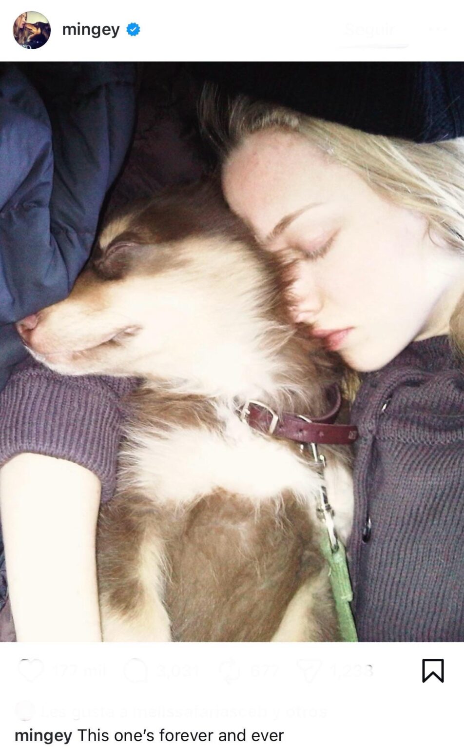 Amanda Seyfried’s dog, Finn, has passed away
