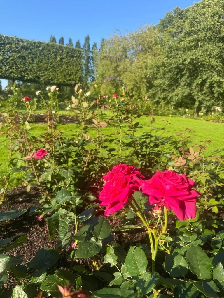 Mary also shared a look at her gardens