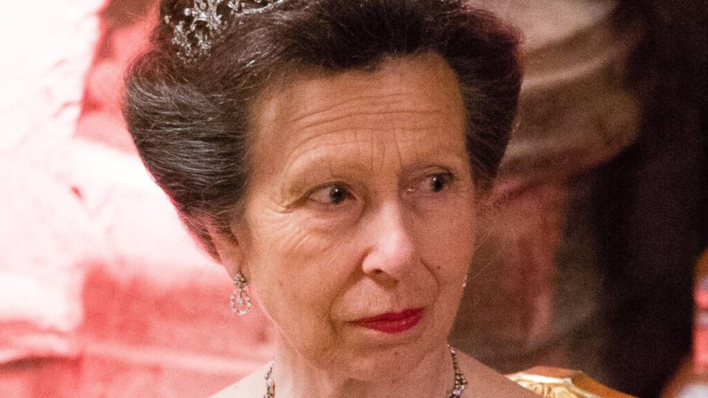 Princess Anne brings Cinderella to life in fairytale ruffled ballgown Princess Anne brings Cinderella to life in fairytale ruffled ballgown