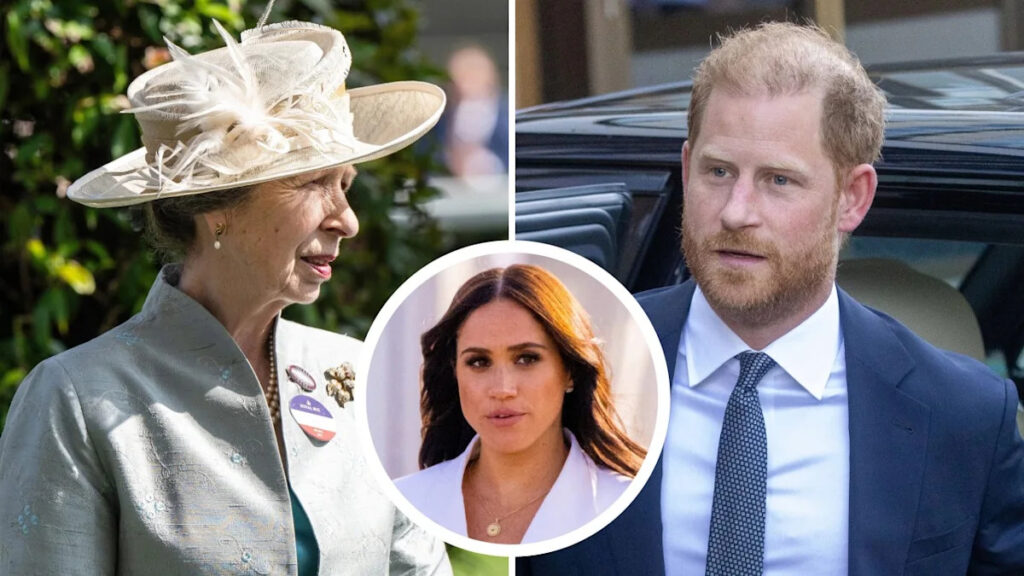 Princess Anne Wants to ‘Sit Down’ With Prince Harry ‘Alone,’ ‘Too Risky’ Having Meghan Markle There