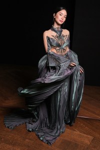 Heart Evangelista