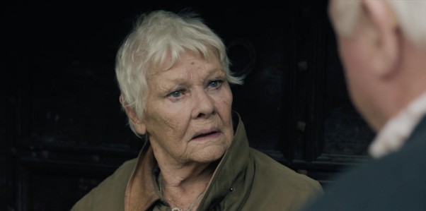 Renée Zellweger, Michael Keaton & Judi Dench Films Set For HollyShorts Judi Dench in 'Joke'