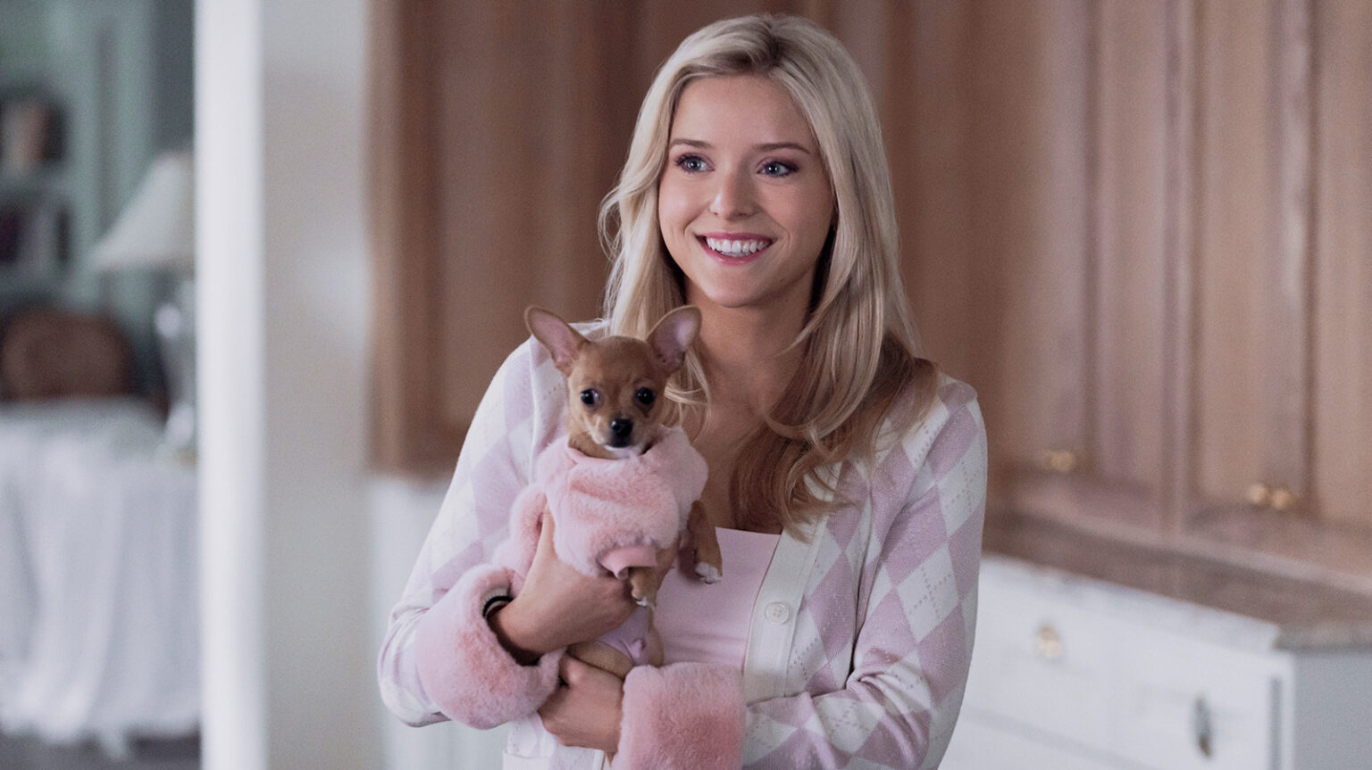 Elle’s Connection To Legally Blonde Explained: Is Prequel Officially Canon? Elle's Connection To Legally Blonde Explained: Is Prequel Officially Canon?