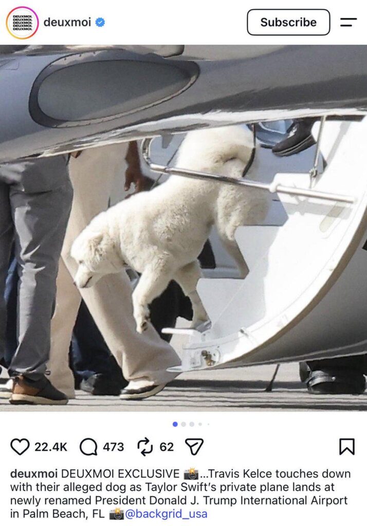 DEUXMOI EXCLUSIVE: Travis Kelce touches down with their alleged dog as Taylor Swift's private plane lands at newly renamed President Donald J. Trump International Airport in Palm Beach, FL