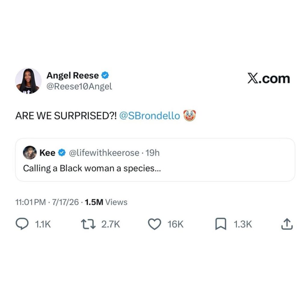 Angel Reese called out Toronto Tempo coach Sandy Brondello for calling her a 'protected species.’