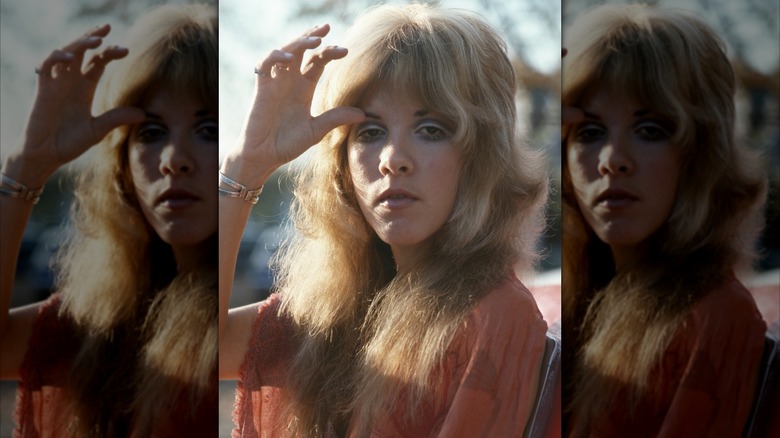 Stevie Nicks during a 1975 photoshoot with pastel eyeshadow and layered hair