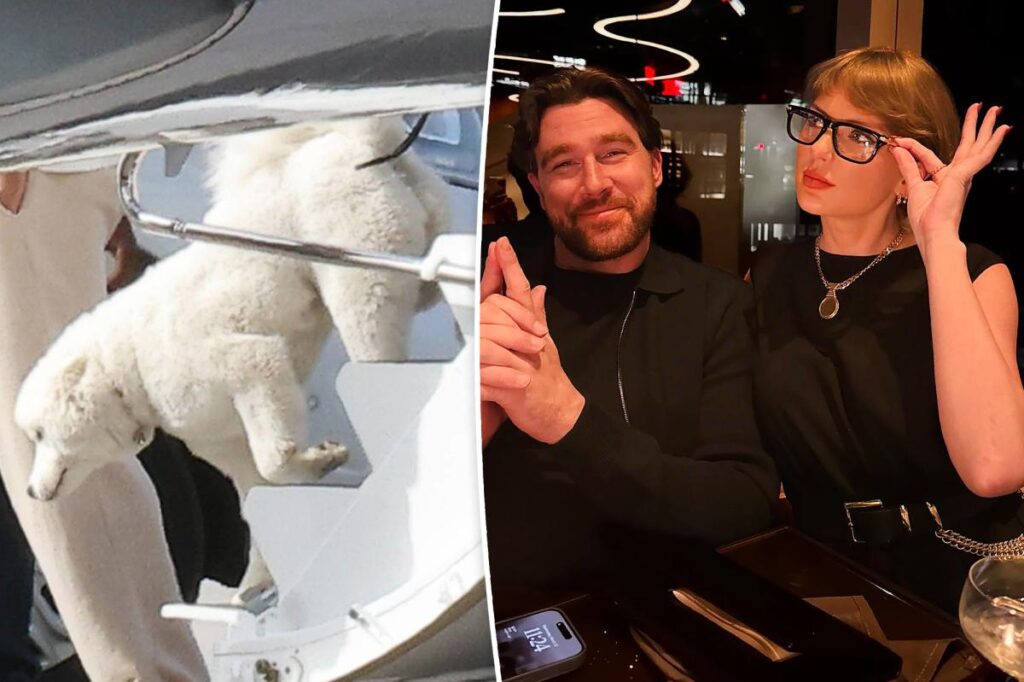 New details on Taylor Swift and Travis Kelce's pet dog revealed
