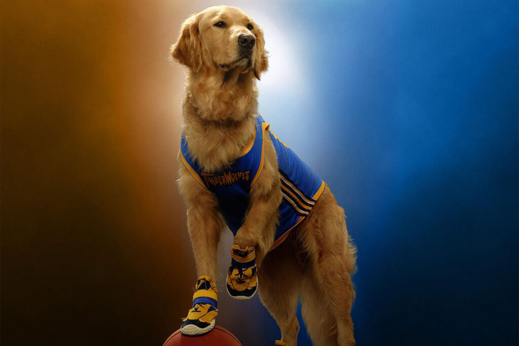 Teaser Trailer: "Air Bud Returns"