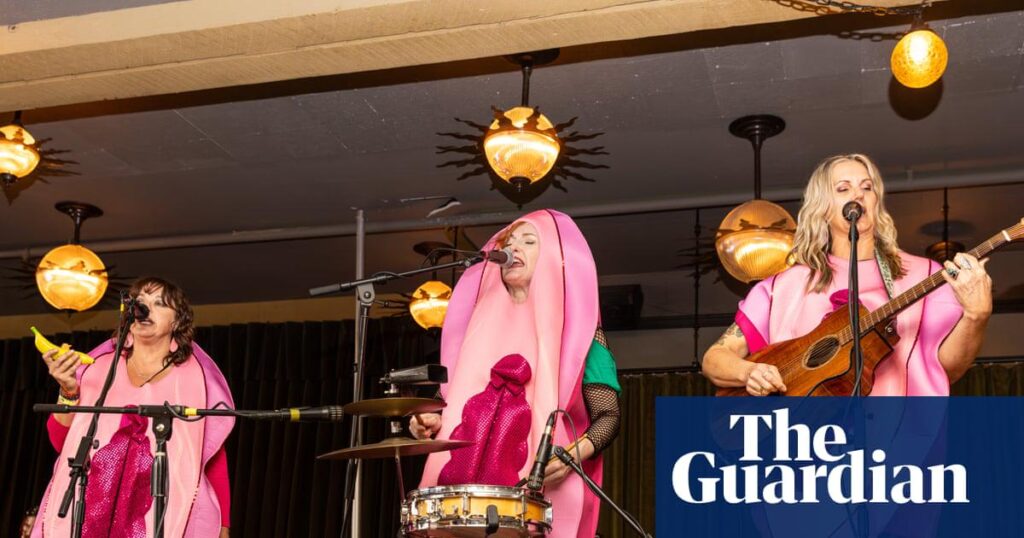 ‘It affected my confidence in my pussy’: gen X punk legends rage at menopause festival. At Menopunkapalooza, riot grrrls sang and rallied around a topic still taboo today: women’s health during midlife.