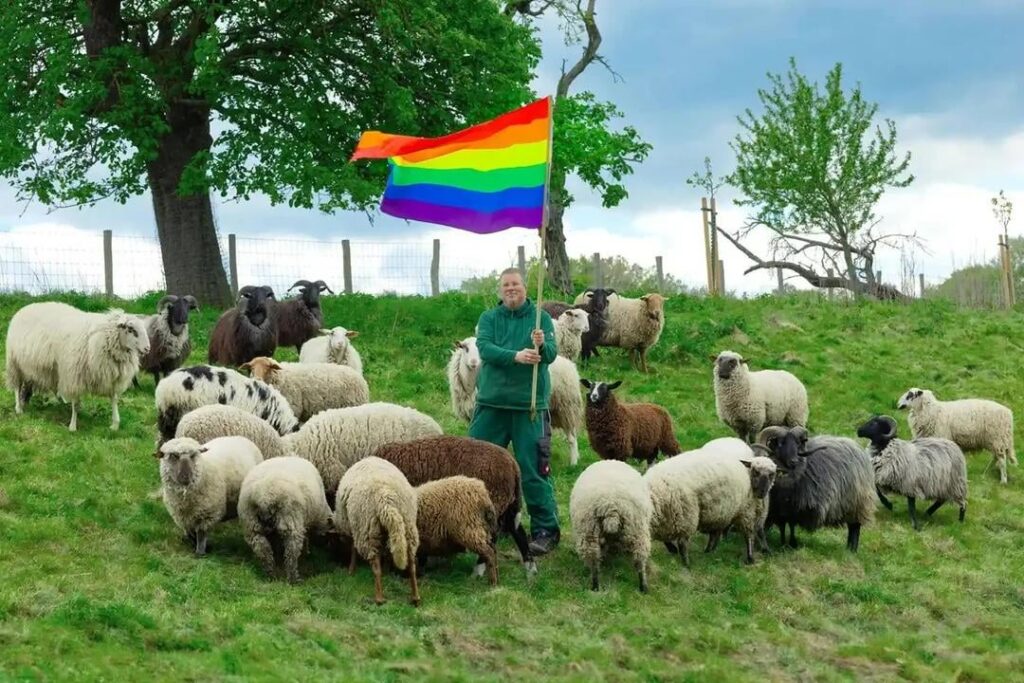 2 gay sheep rescued from slaughter after refusing to mate with females now live peacefully on a German farm run by Michael Stücke, founder of the nonprofit Rainbow Wool. In 2025, they collaborated with Grindr to produce a fashion show featuring knitwear made from yarn spun from Stücke’s sheep