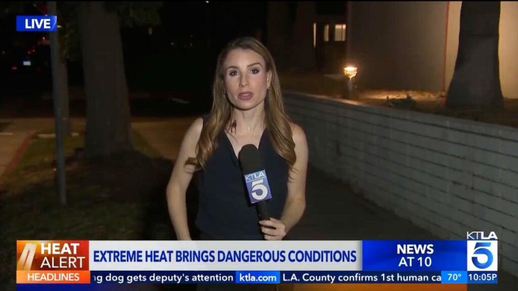 KTLA Reporter Keeps Her Cool When a Cockroach Crawls on Her During Live Report