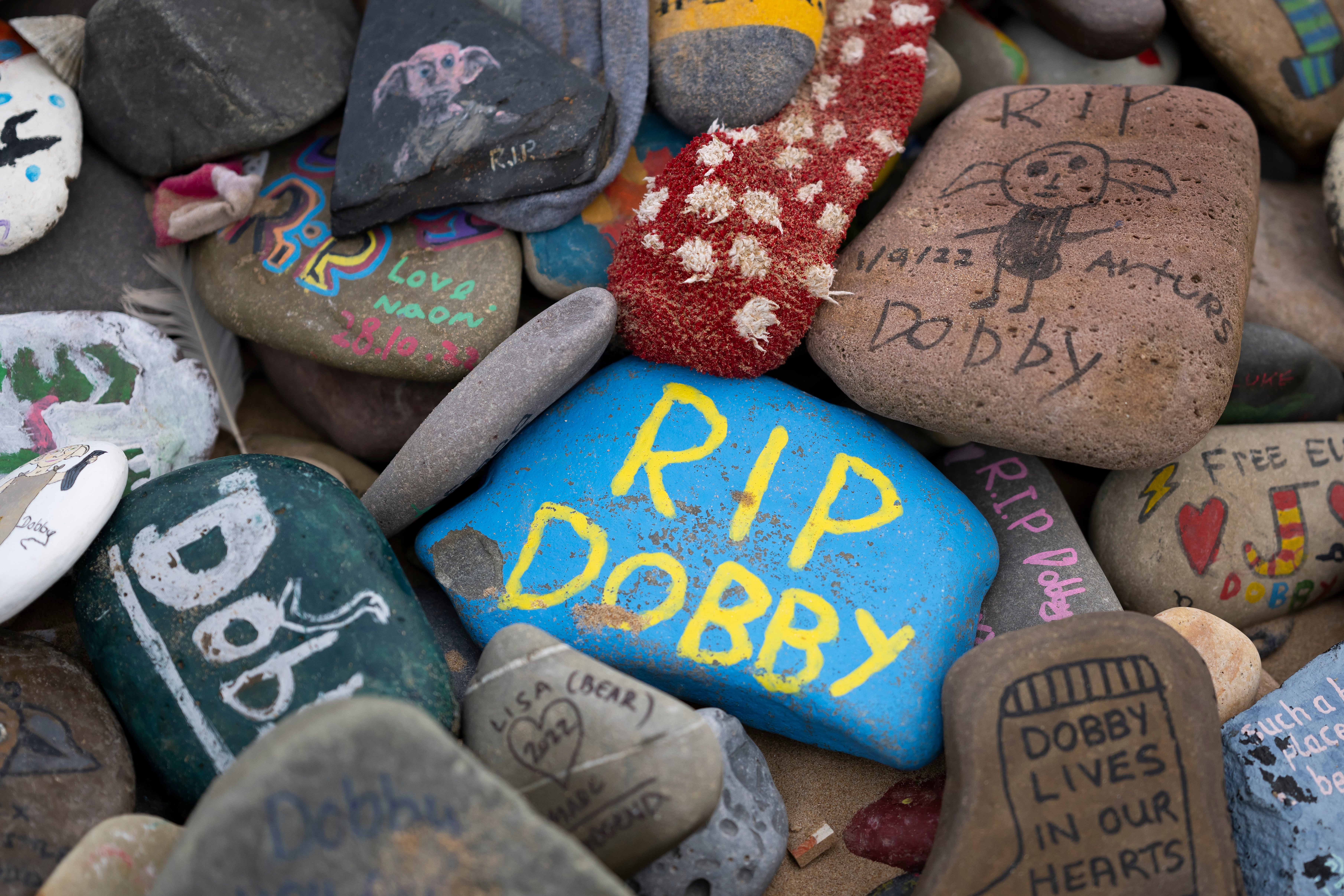 The beach has become a shrine to Dobby