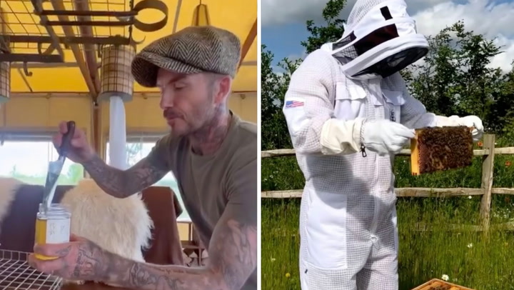 Beckham pays tribute to ‘little creatures’ for World Honey Bee Day | Lifestyle Video Player Placeholder